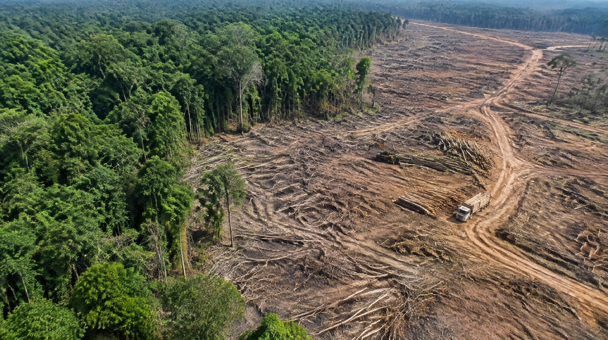 deforested land aerial view